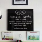 Herczeg István ezüstérmes olimpiai bajnok, tornász eredménye 1kép