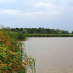 Őszeszéki tó 2kép
